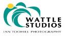 Wattle Studios logo